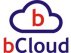 bCloud - Онлайн бухгалтерия 1С